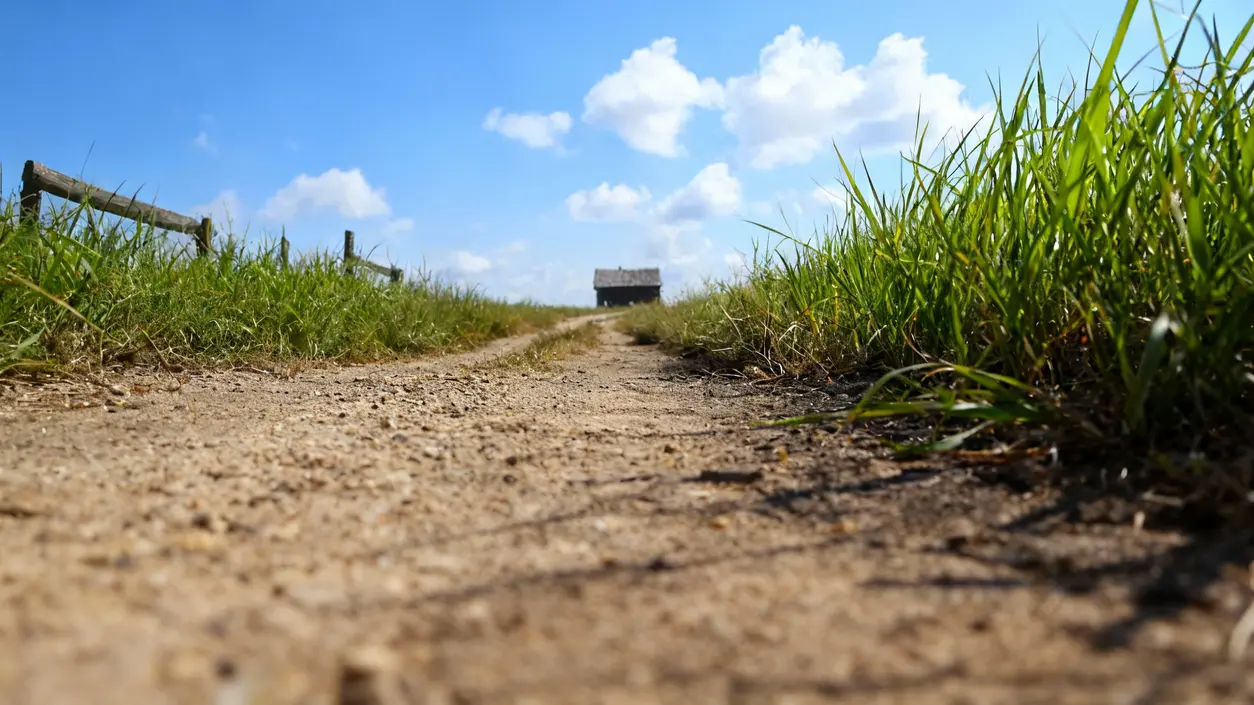 Sentiero sterrato tra erba alta che conduce a una piccola costruzione in lontananza